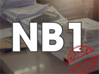 Hướng dẫn tìm hiểu về Mẫu NB1 công văn nhập cảnh mới nhất