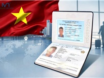 Thủ tục xin cấp thẻ tạm trú ĐT3 cho nhà đầu tư nước ngoài mới nhất