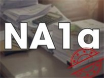Biểu mẫu NA1a: Tờ khai đề nghị cấp thị thực điện tử (E-visa)