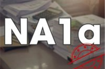 Biểu mẫu NA1a: Tờ khai đề nghị cấp thị thực điện tử (E-visa)